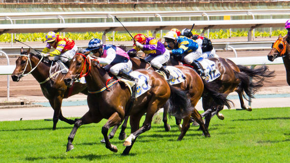 Dead Heat Horses
